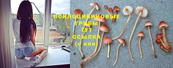 гашишное масло Горнозаводск